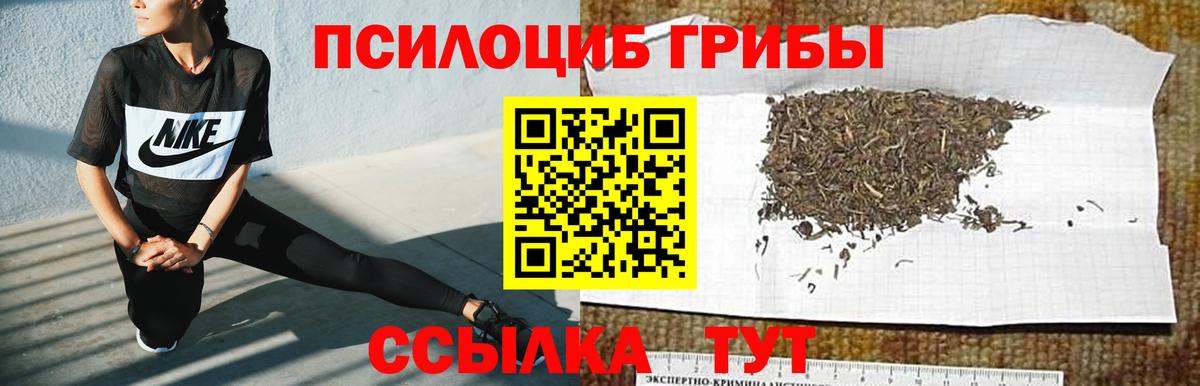 Псилоцибиновые грибы GOLDEN TEACHER Великий Новгород